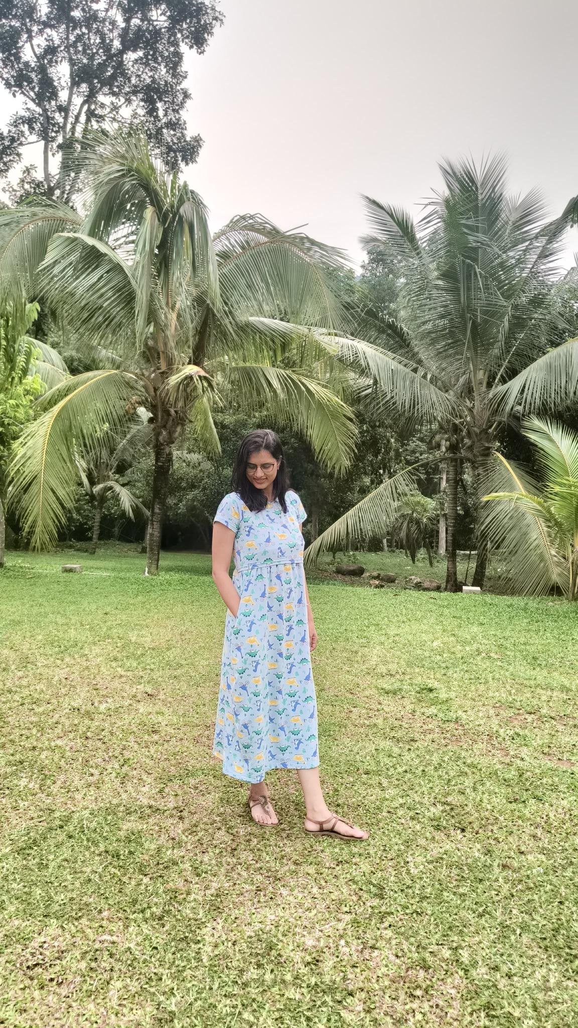 Dino Print Maternity & Nursing Dress