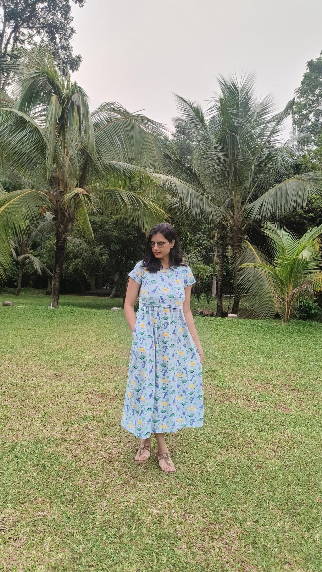 Dino Print Maternity & Nursing Dress