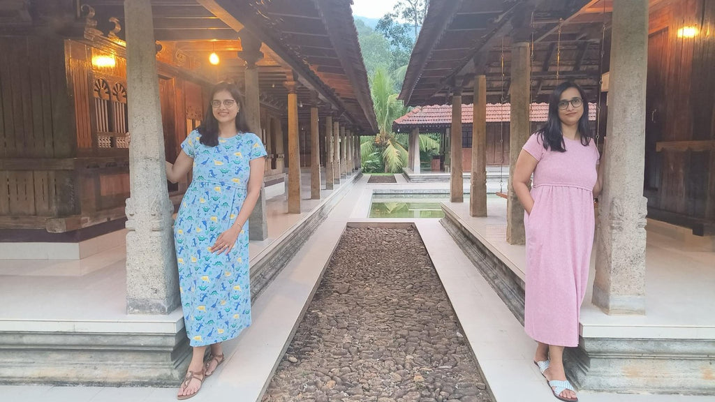 Dino Print Maternity & Nursing Dress