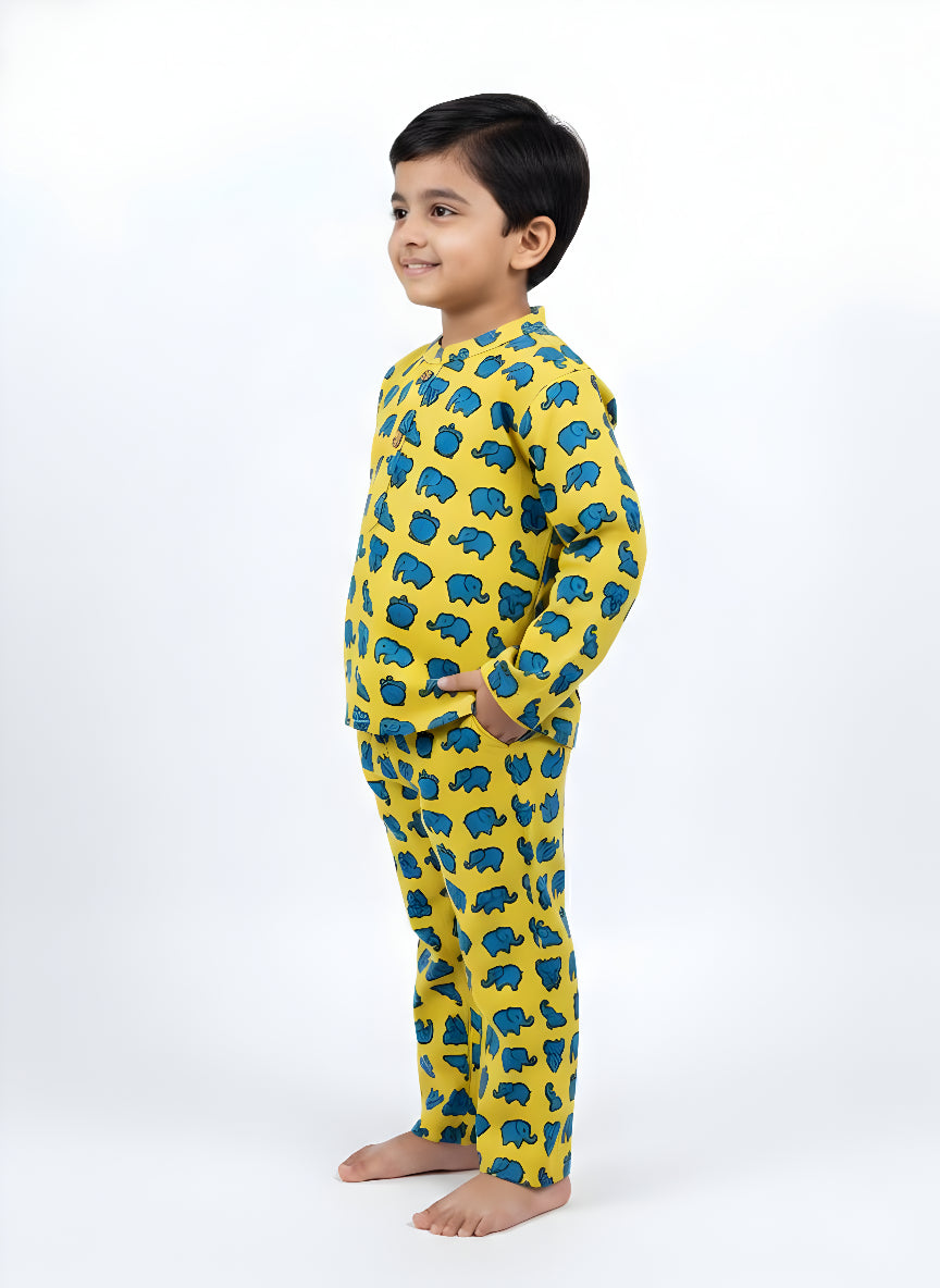 Yellow & Blue Elephant Print